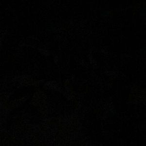 Meet your Posher, Tessa